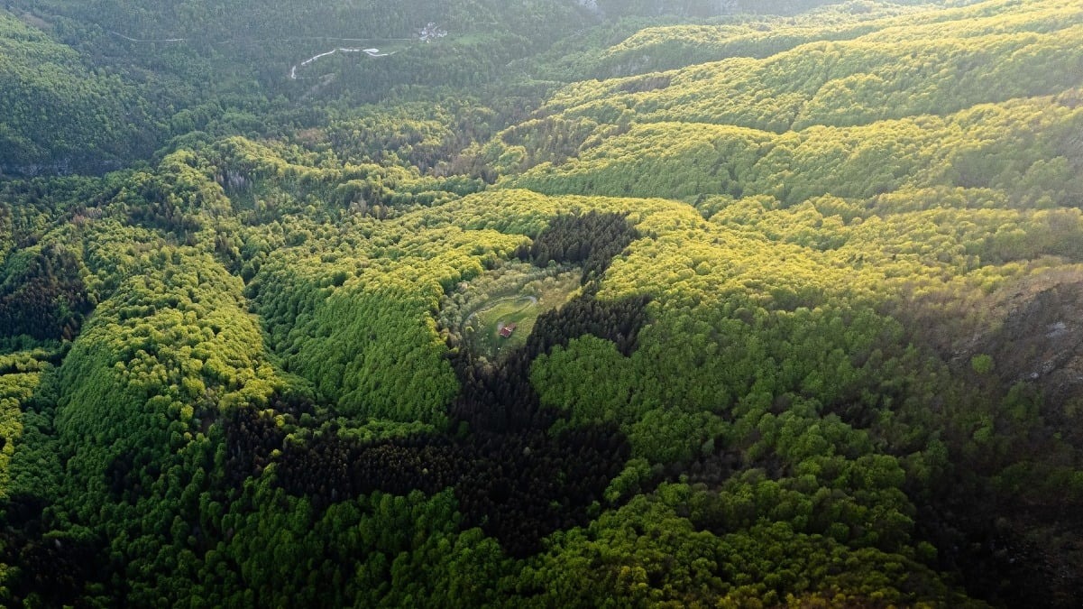 Foreste certificate, il Friuli Venezia Giulia amplia la rete: decisivo l’ingresso di Tramonti di Sopra - 