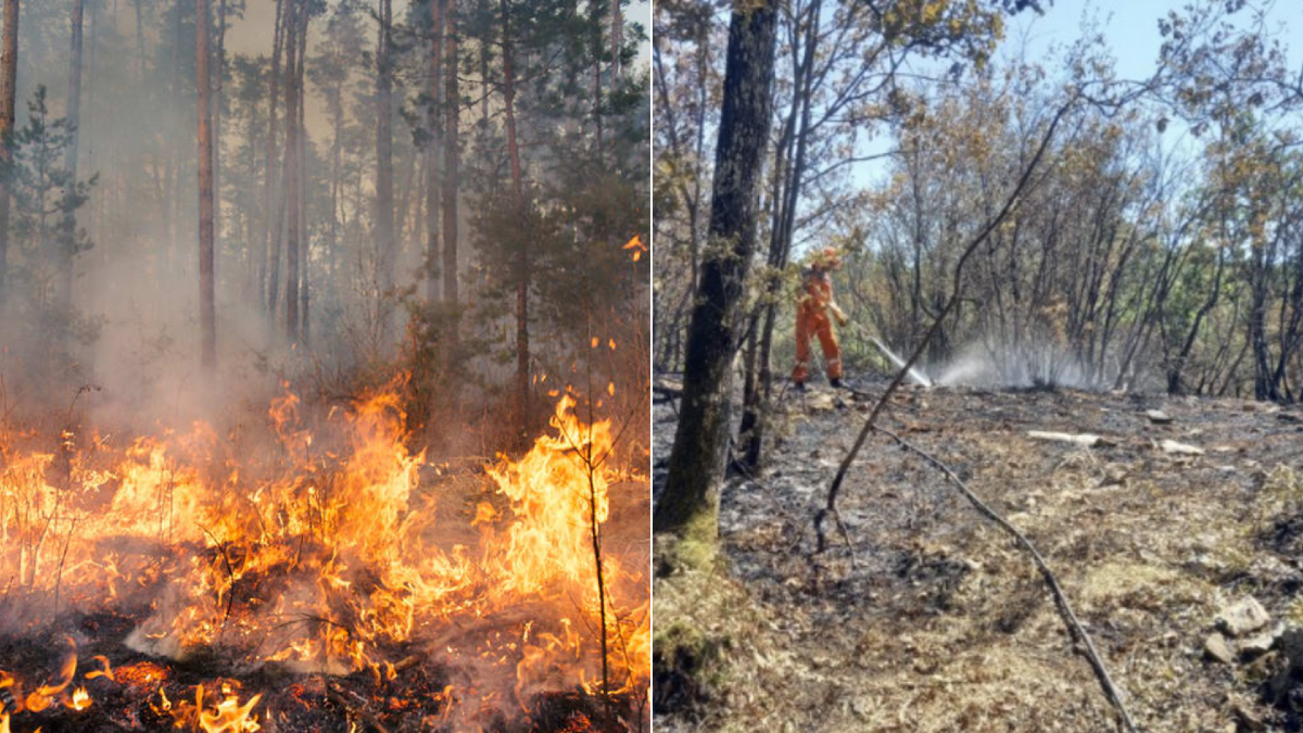 Incendi in FVG, nuovi focolai e fumarole tra Carnia e Pordenonese. Il bollettino - 