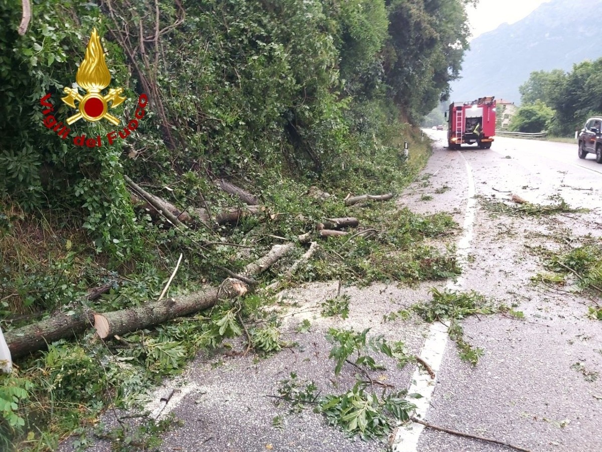 Alberi abbattuti e tetti scoperchiati: Vigili del fuoco al lavoro per ore in Veneto - 