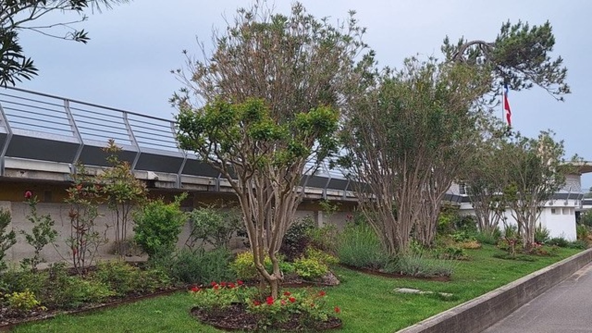 Lignano Pineta, completata la riqualificazione del verde sul lungomare Kechler - 