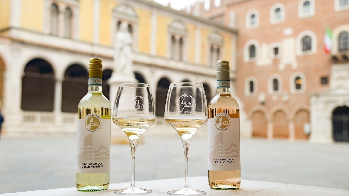 Il Pinot Grigio delle Venezie lascia Verona e arriva a Sibari: il Consorzio punta sul pubblico del Sud - 