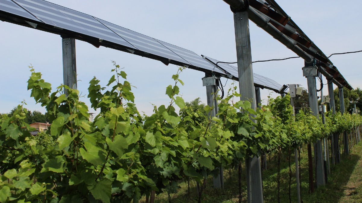 Fotovoltaico sui campi agricoli, la Consulta conferma il divieto dei pannelli a terra - 