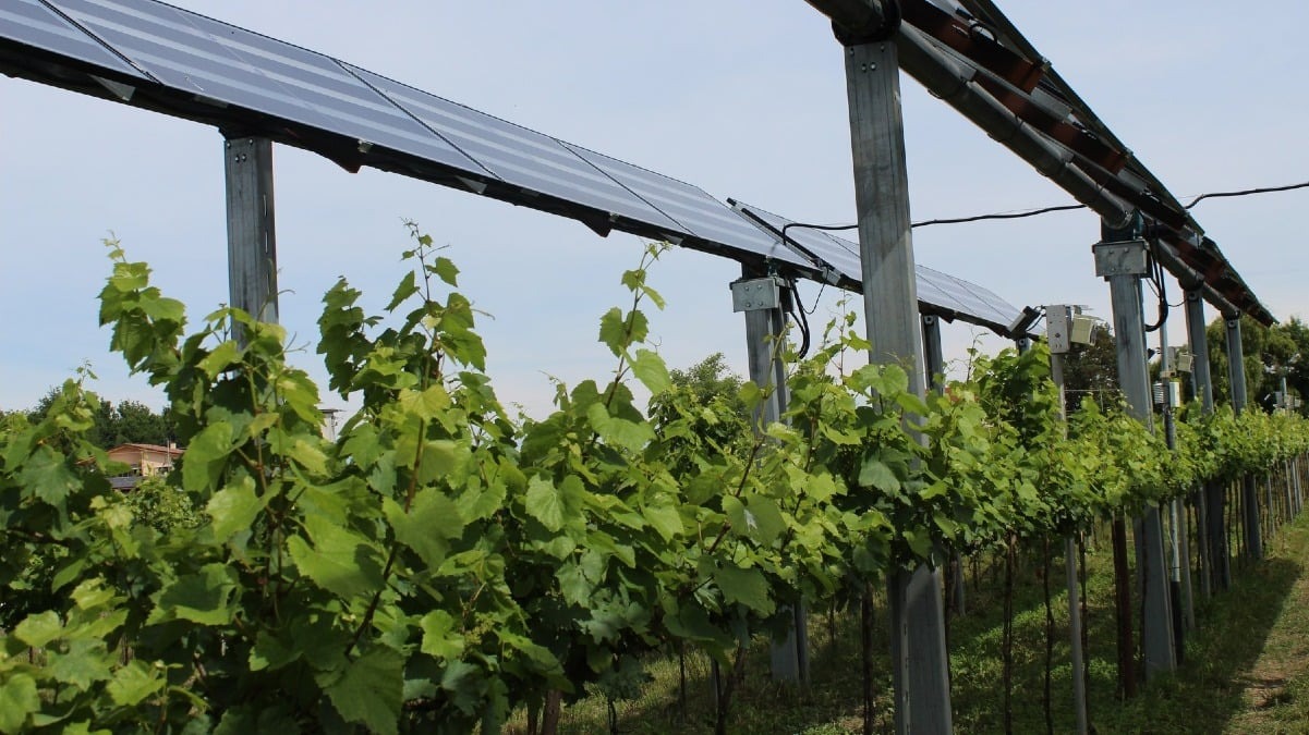 Campi agricoli e solare, la Consulta traccia il limite: in Friuli restano esclusi i pannelli posati sul terreno - 