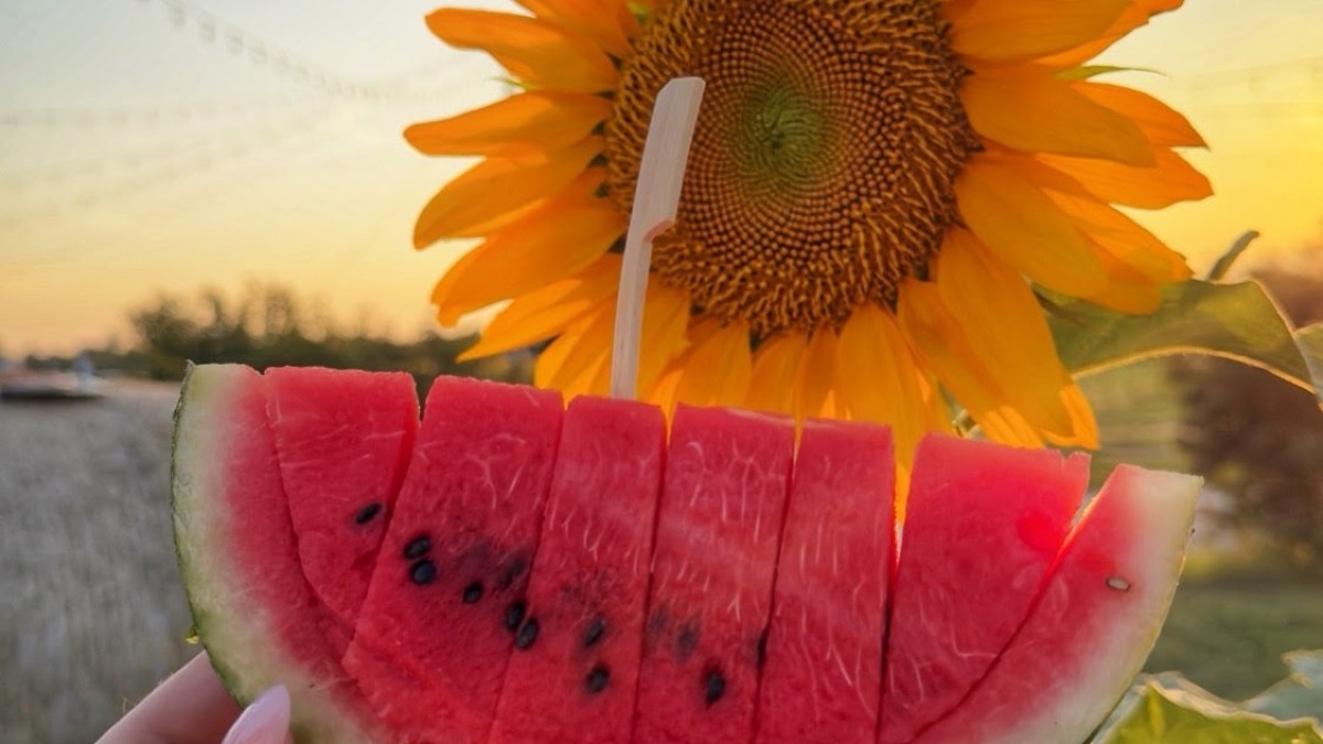 Villorba, da Nonno Andrea tre sere con il Weekend delle Angurie dal 24 al 26 luglio - 