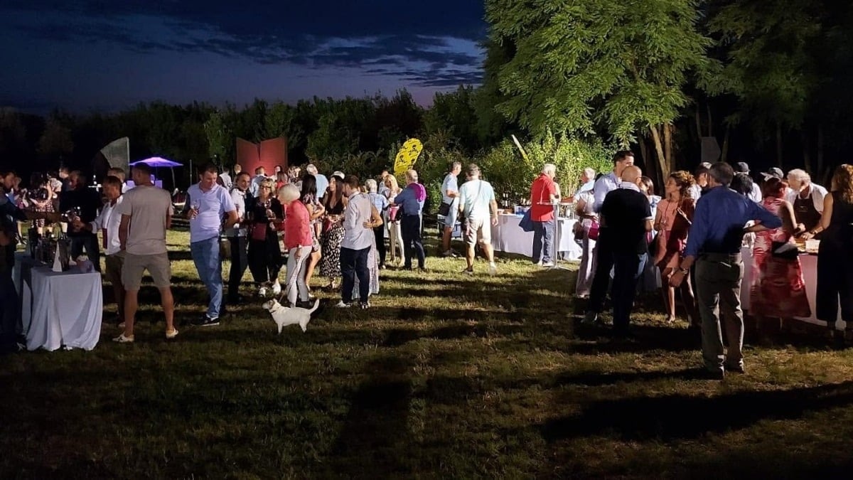 Sabato del vino tra Medio Friuli, Stella e Colli orientali: tre eventi da segnare il 25 luglio - 
