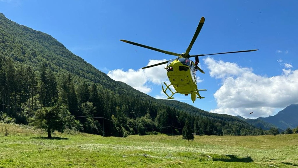 Punta da diversi calabroni in malga, va in shock anafilattico: attimi di terrore in Fruli - 
