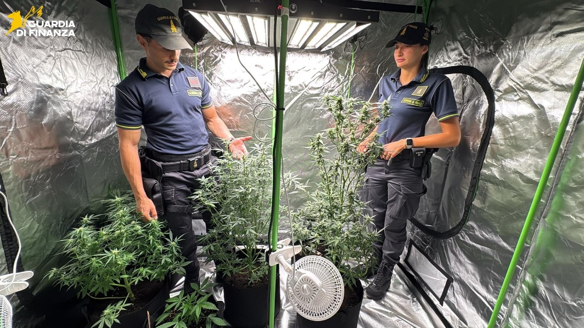Il casolare sembrava abbandonato, poi la sorpresa: coltivazione di cannabis ultra tecnologica - 