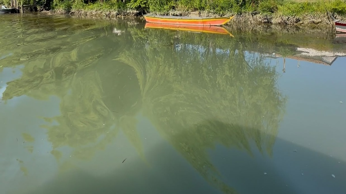 Portogruaro, tour in barca già esauriti fino a settembre: restano libere le visite a piedi - 