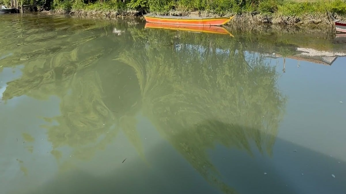 Portogruaro, visite sul fiume tutto esaurito: restano posti solo per gli itinerari nel centro - 