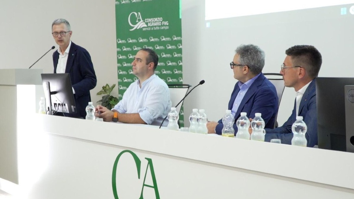 Doc Friuli, chiuso l’iter tecnico del nuovo disciplinare: ora la Gazzetta Ufficiale - 