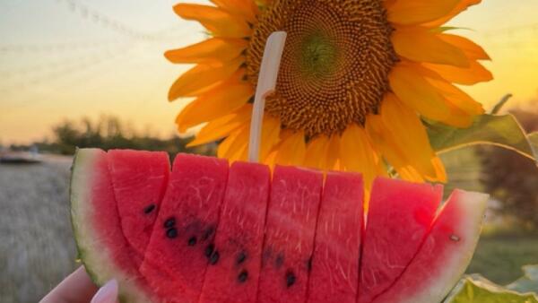 Villorba, da Nonno Andrea tre sere con il Weekend delle Angurie dal 24 al 26 luglio