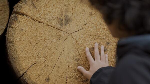 Venezia 83, “Holy Wood Dust” di Victor Kossakovsky in Open Fuori Concorso