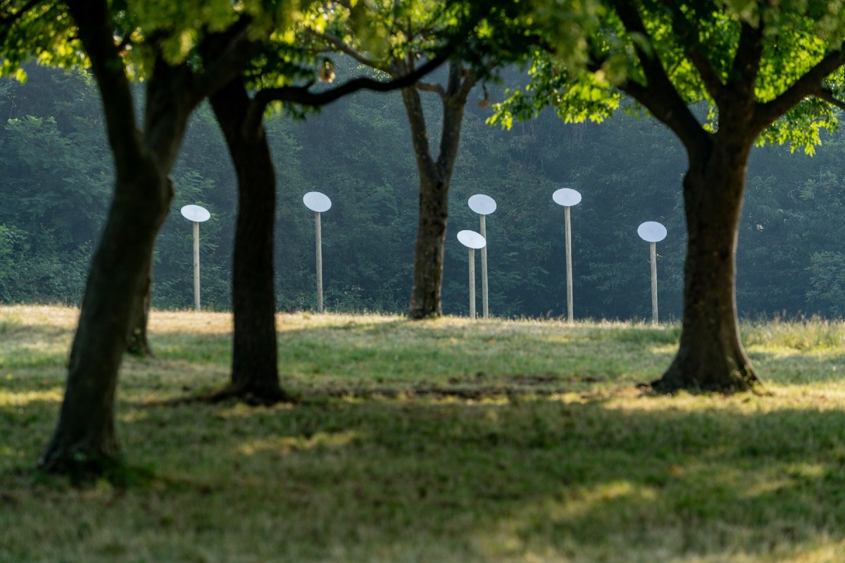 Teolo Arte Natura, sabato 4 luglio apre il percorso permanente tra bosco e arte