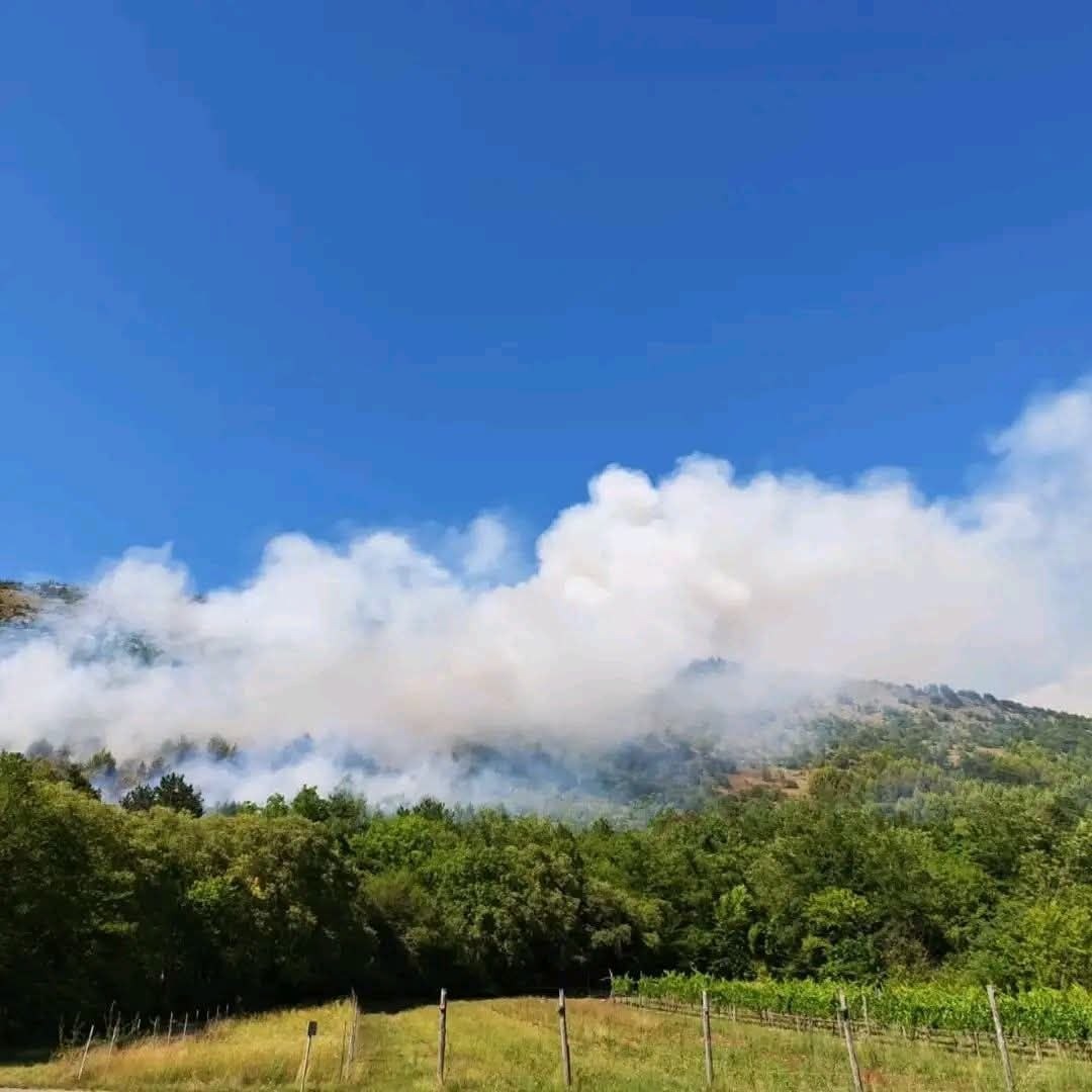 Fiamme spinte dal vento, cento soccorritori e due canadair contro il rogo