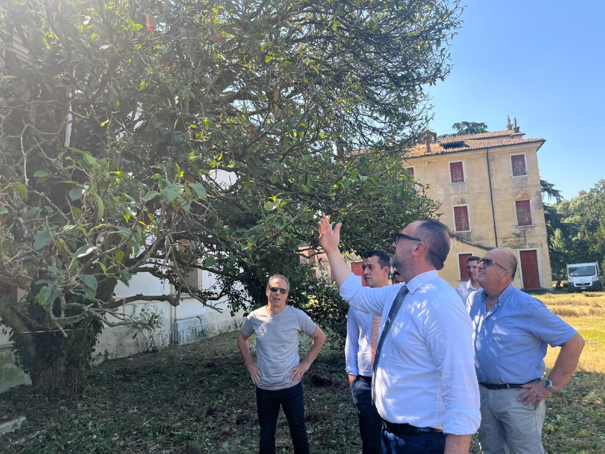 Villa Franchetti, partiti i lavori sul verde: la Provincia investe 225mila euro