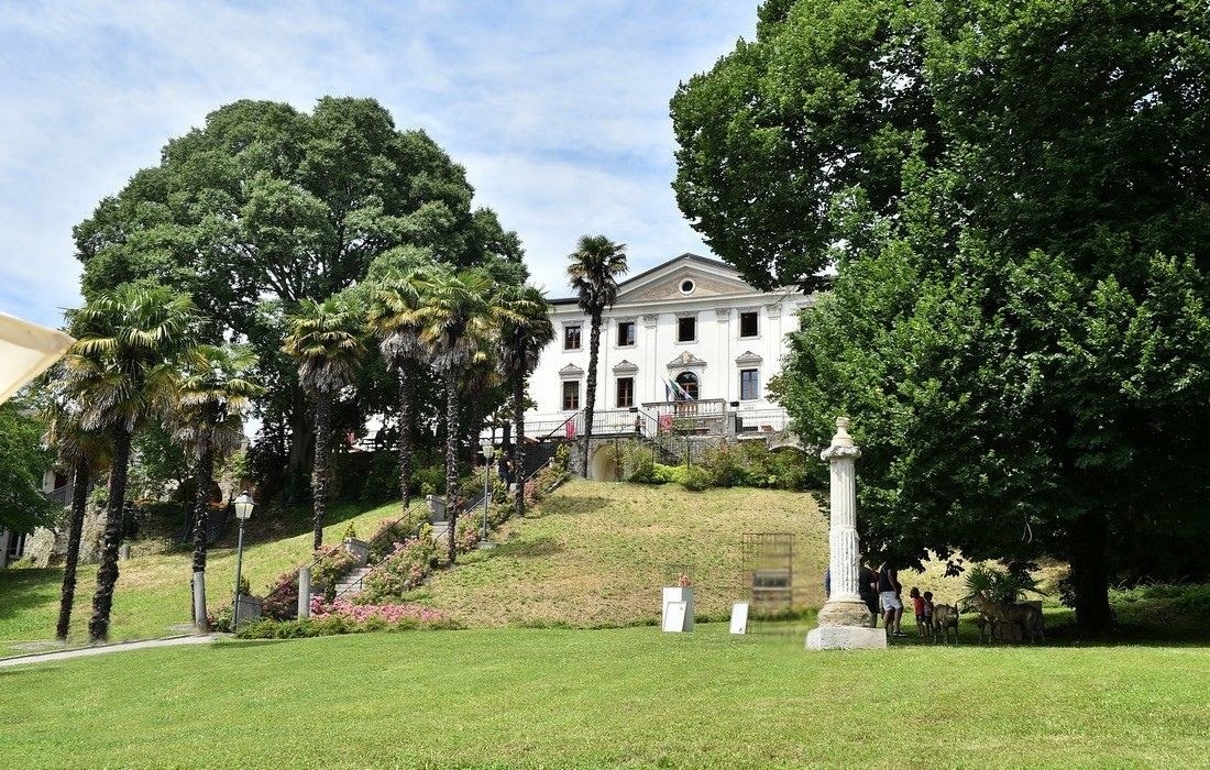 TreeArt Festival 2026, a Buttrio il 10 luglio la giornata inaugurale tra scienza e