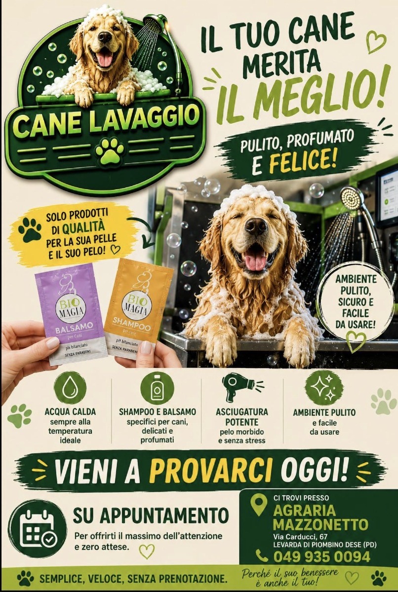 Levada di Piombino Dese, apre il self lavaggio cani con area per cucce e accessori