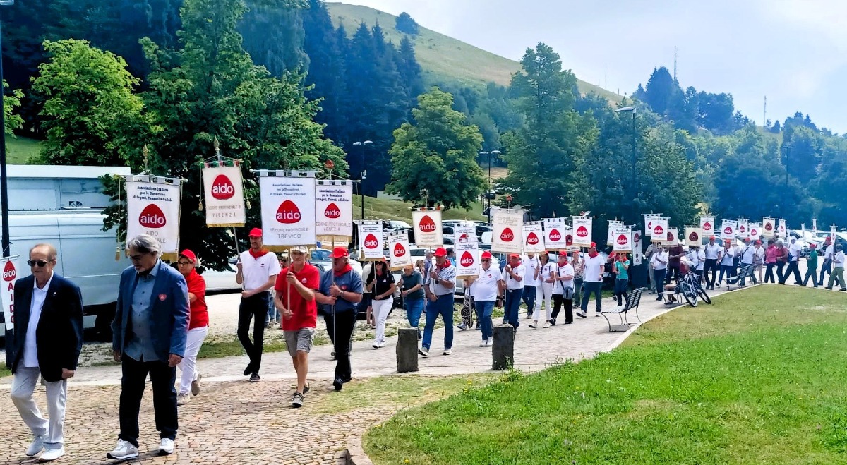 AIDO Treviso, 37 gruppi comunali attivi: ricostituita la sede di Vittorio Veneto