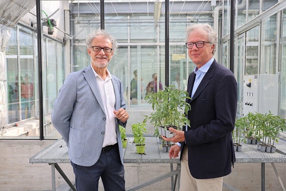 Udine, nuove serre e laboratorio hi-tech per studiare le piante e il clima all’Università