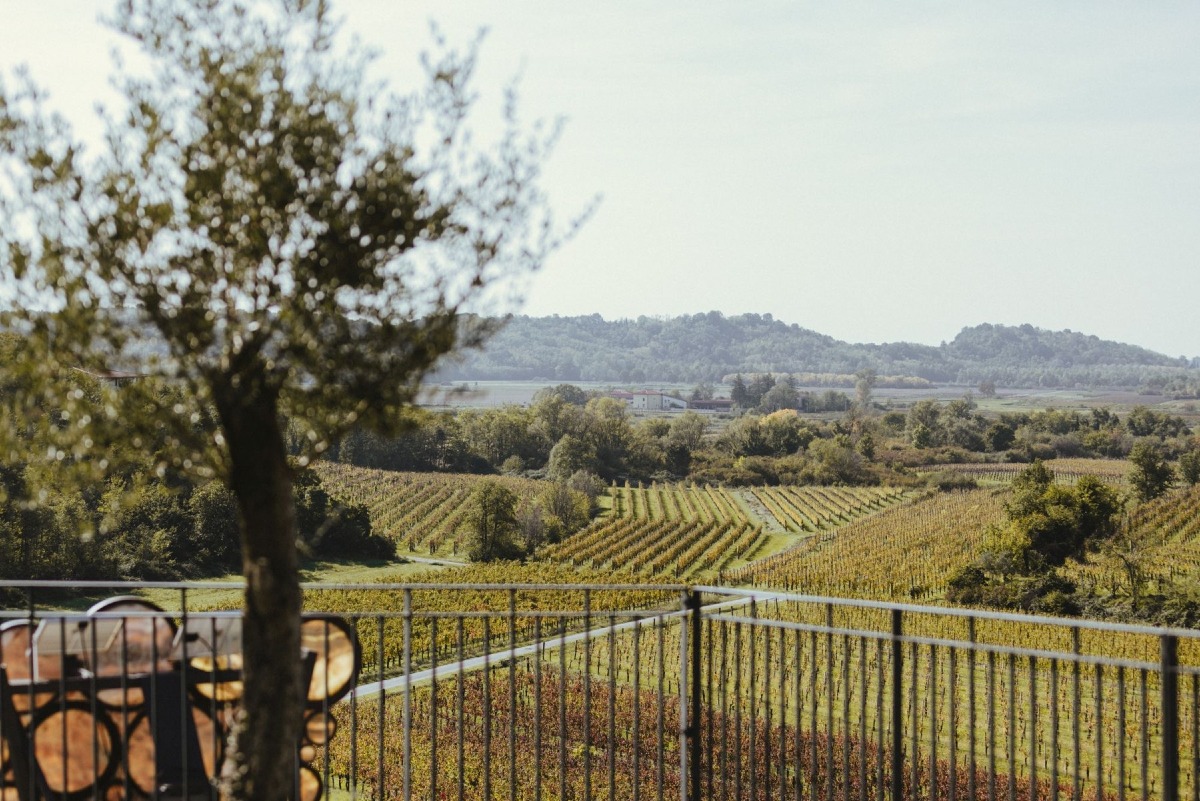 San Vito, seminario gratuito sui crediti di carbonio per agricoltori e viticoltori Fvg