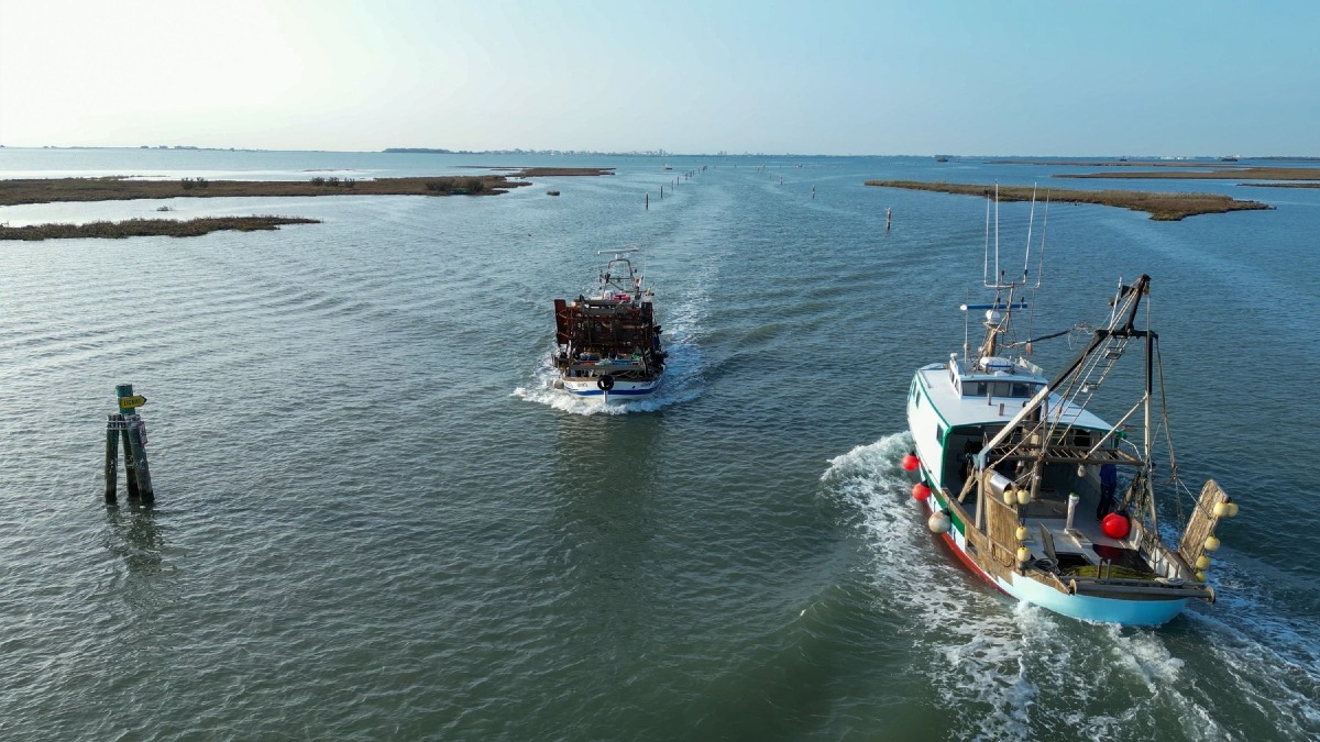 Pesca in crisi in Friuli Venezia Giulia: il granchio blu invade anche il largo