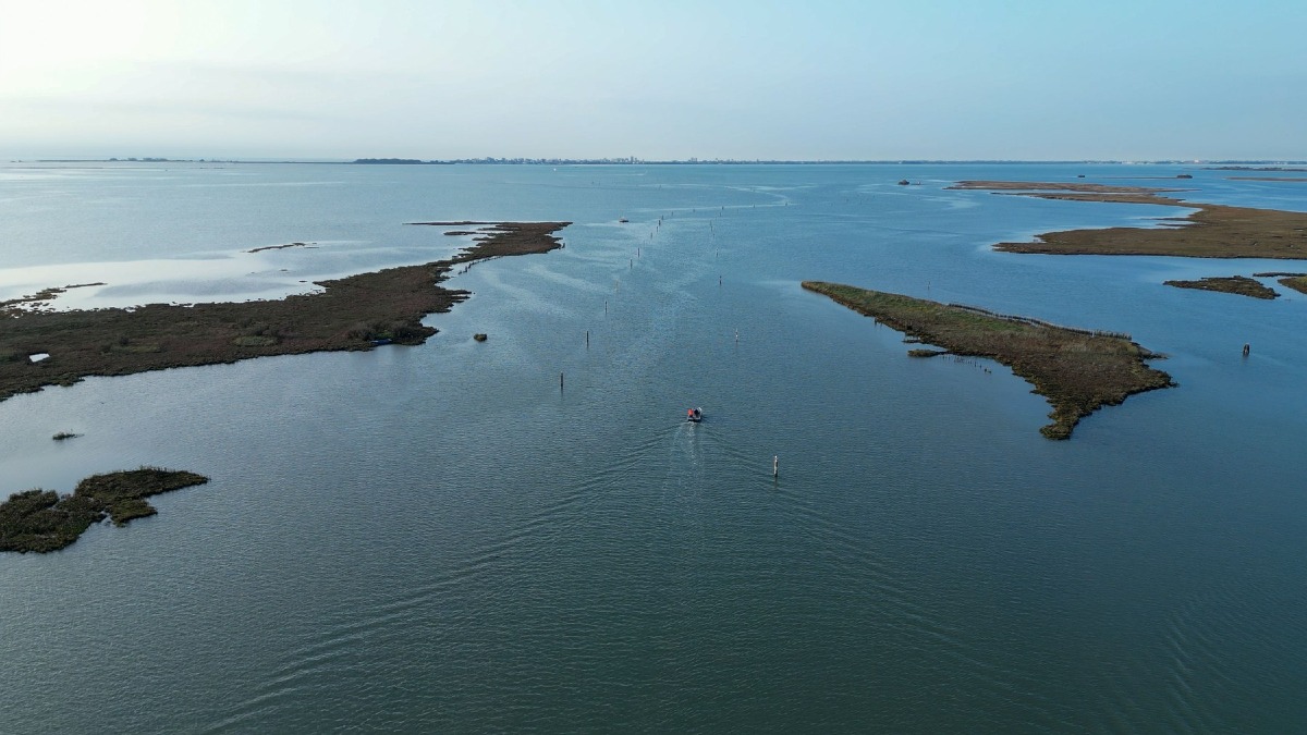Pesca in crisi in Friuli Venezia Giulia: il granchio blu invade anche il largo