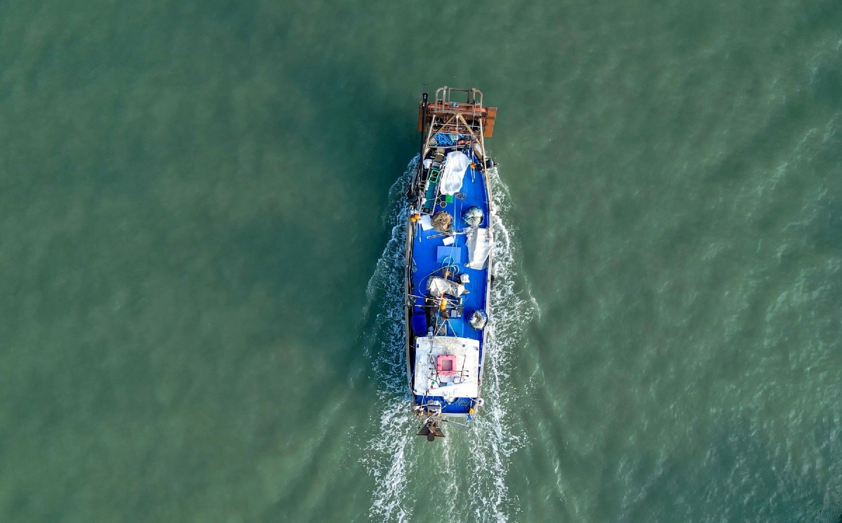 Pesca in crisi in Friuli Venezia Giulia: il granchio blu invade anche il largo