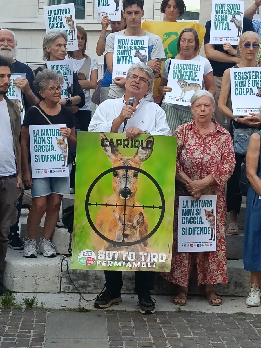 Caccia, proteste a Treviso e Verona contro il Ddl: AVS annuncia 1.000 emendamenti