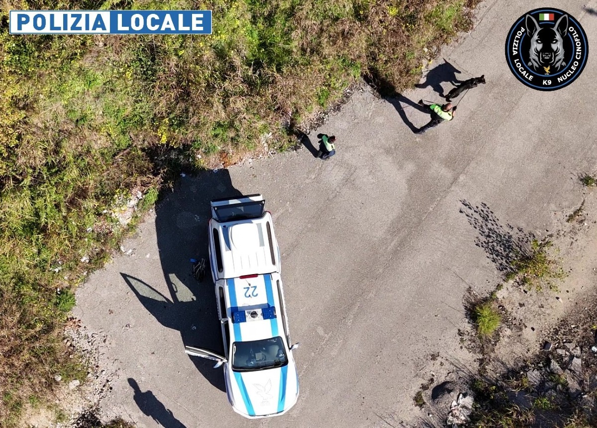 Maxi sequestro di droga della Polizia Locale