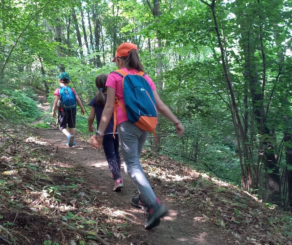 Prealpi Giulie, il progetto Esplorando fa tappa a Venzone e Resiutta con attività per