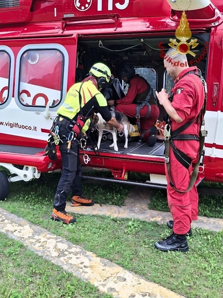 Madre e cucciolo bloccati sulla roccia: salvati con il verricello dopo giorni
