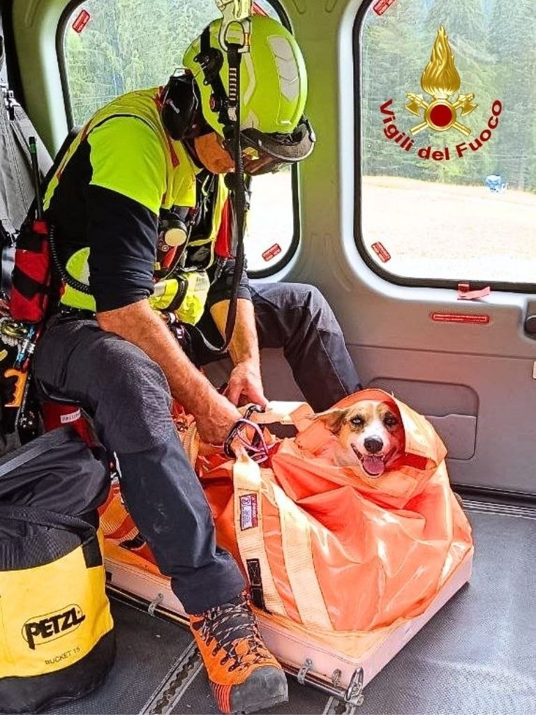 Madre e cucciolo bloccati sulla roccia: salvati con il verricello dopo giorni