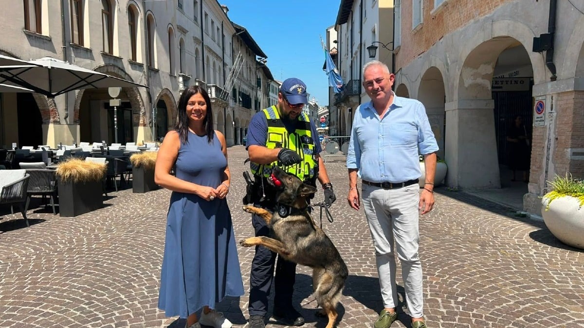 Sicurezza urbana, il Comune punta sull’unità cinofila: Keila resta una risorsa chiave a Pordenone - 