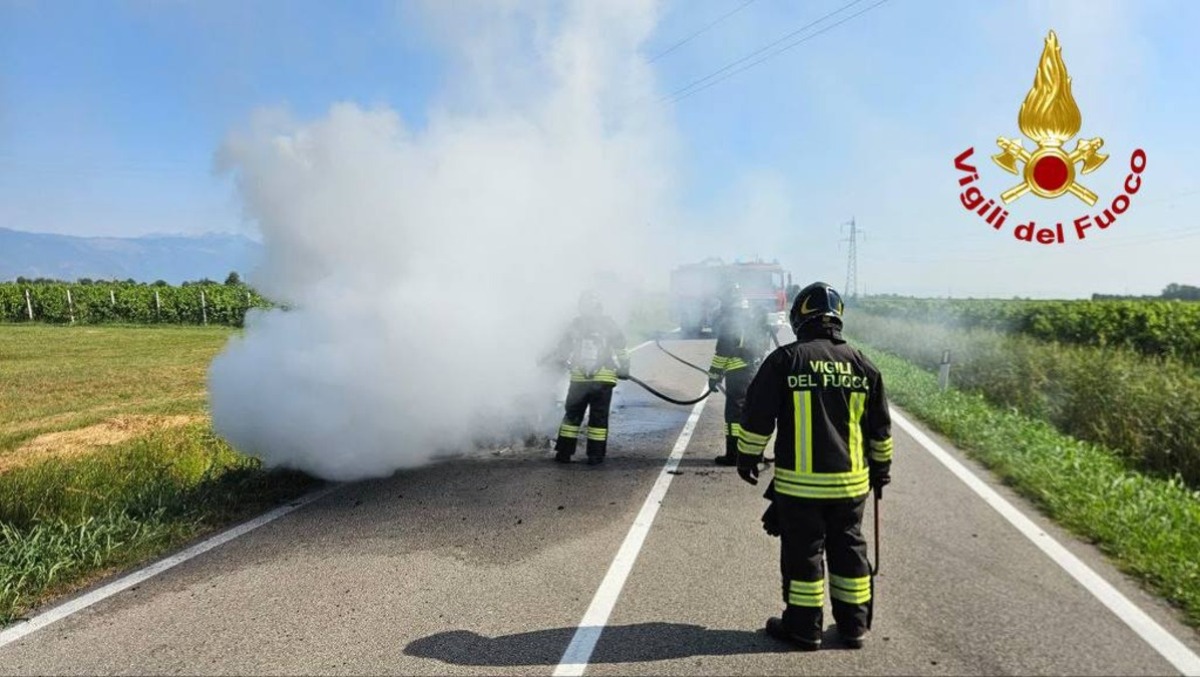 Auto prende fuoco in strada a Gaiarine: le fiamme minacciano anche la vegetazione | FOTO - 
