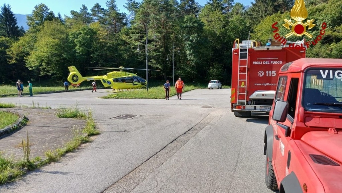 Colpito da un ramo mentre taglia una pianta a Resia: elisoccorso sul posto - I