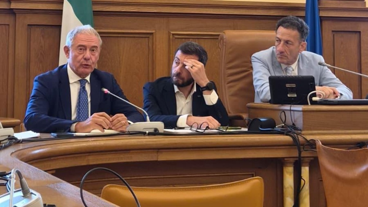 Electrolux, dal Friuli la linea di Rizzetto: aiuti pubblici solo con garanzie su occupazione e fabbriche - 