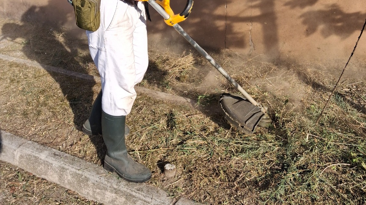 Raccolta rifiuti e taglio dell’erba in via P. Del Zoccolo a Pordenone - 