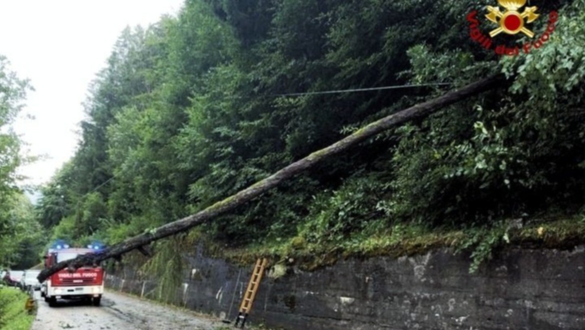 Maltempo nel Bellunese, alberi sulla strada e statale chiusa - 