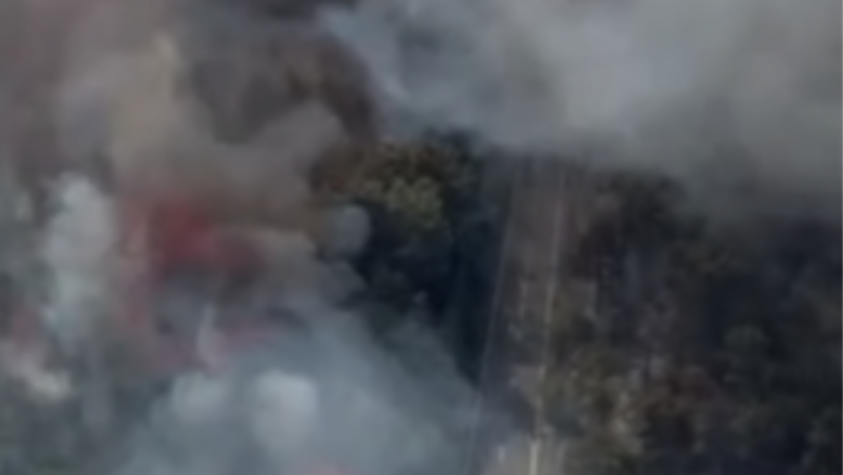 Fiamme spinte dal vento verso le barche: incendio ancora attivo tra Monfalcone e Duino - 