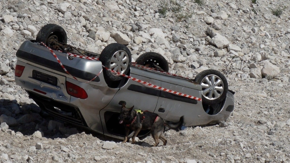 Ad Amaro prove di ricerca in scenari estremi: cani da soccorso e squadre da quattro Paesi a confronto