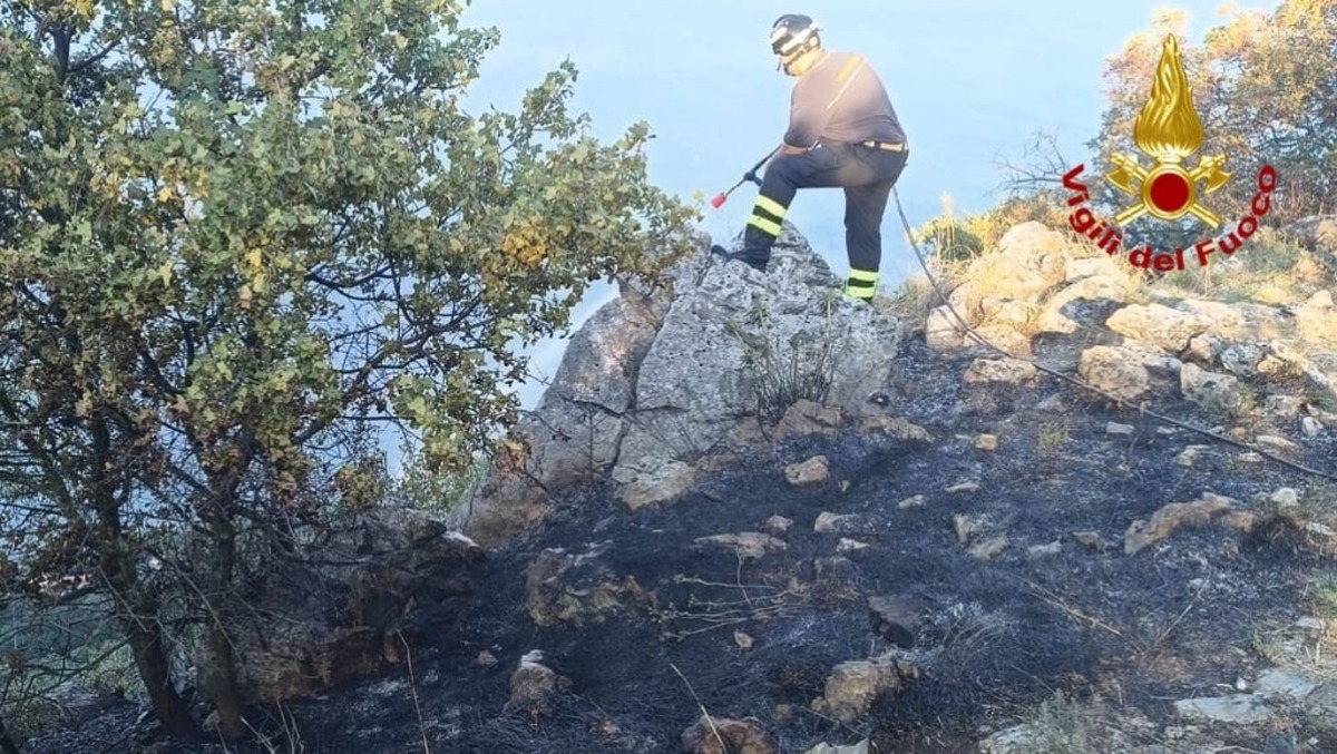 Incendio sulla Napoleonica a Trieste: bruciano 3mila metri quadrati - 
