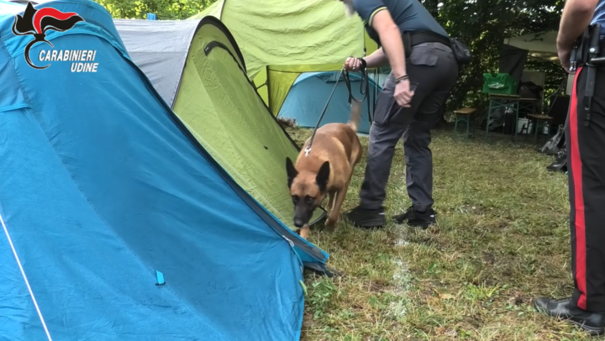Festa di Vernasso 2026, controlli a tappeto: sequestrati hashish e marijuana | VIDEO - 