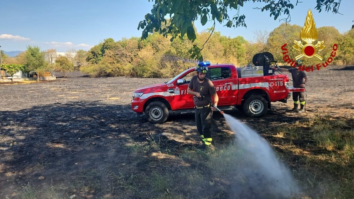 Incendio a Savogna d’Isonzo, rogo vicino alle attività: Vigili del Fuoco in azione - 