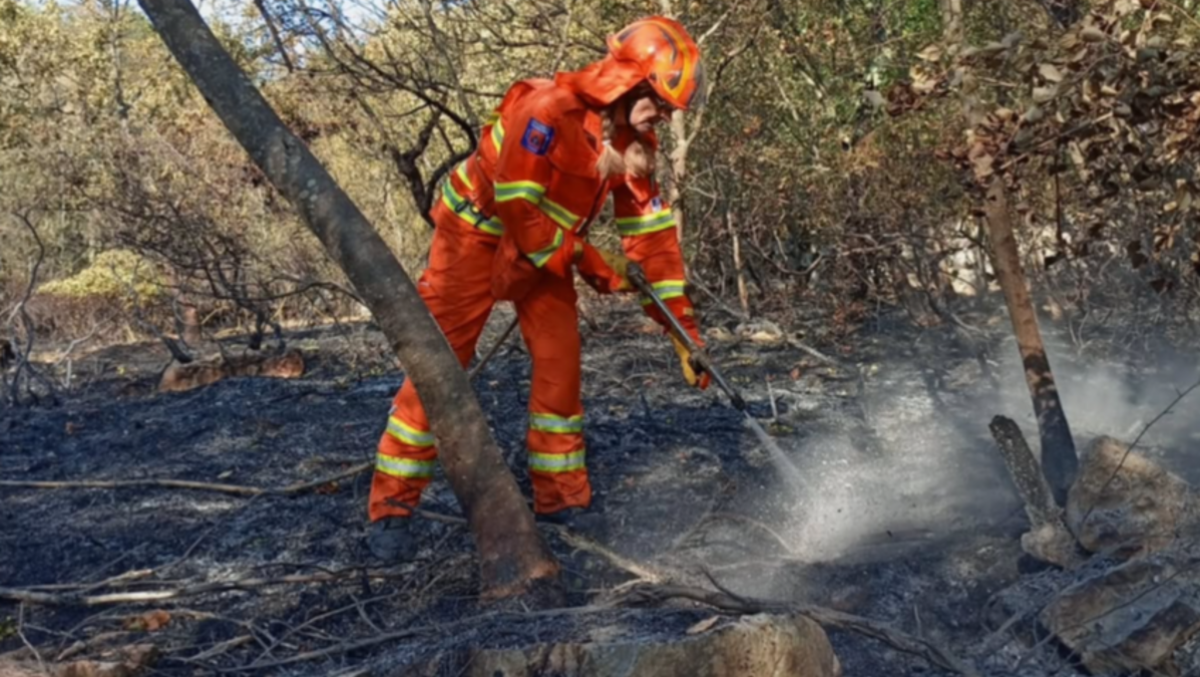 Monte Grisa, ladri nelle auto dei forestali mentre il Carso brucia - 