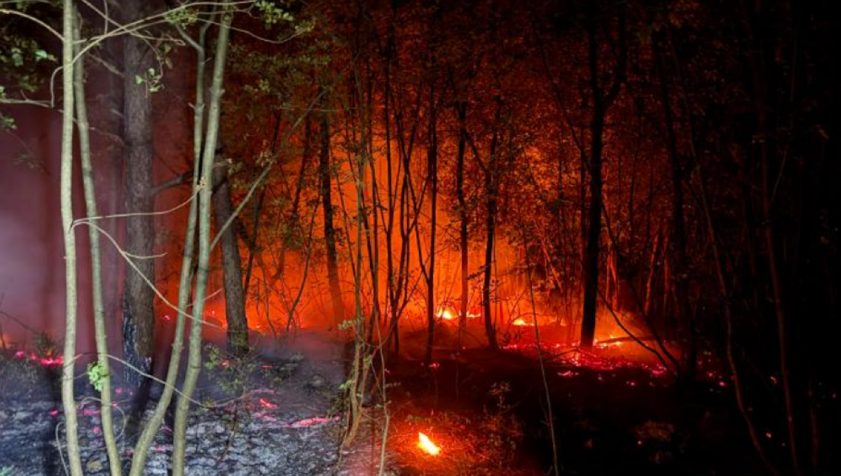 Sono 17 gli incendi in Friuli Venezia Giulia: roghi ancora attivi e SS14 chiusa a Duino - 