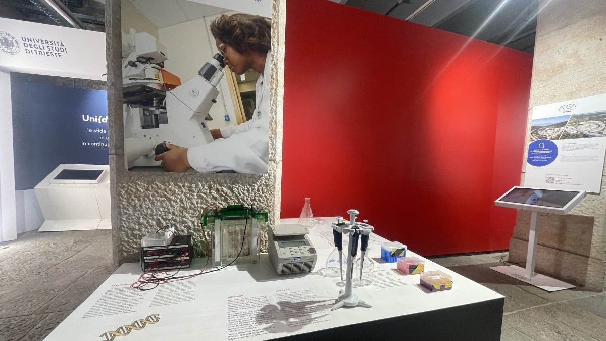 Trieste, il museo della scienza non chiude a Ferragosto: al Magazzino 26 una settimana dedicata a ICGEB - 