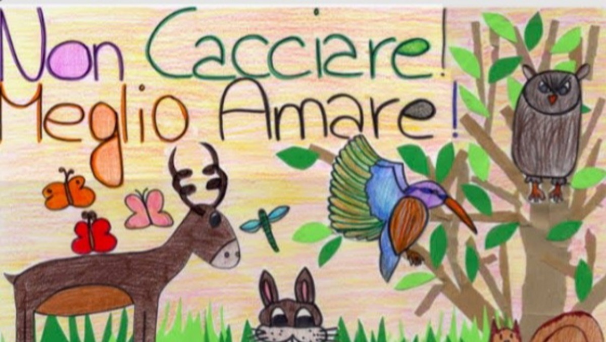 Caccia in Fvg, il Partito Animalista chiede lo stop fino a ottobre: «Fauna provata da caldo e incendi» - 