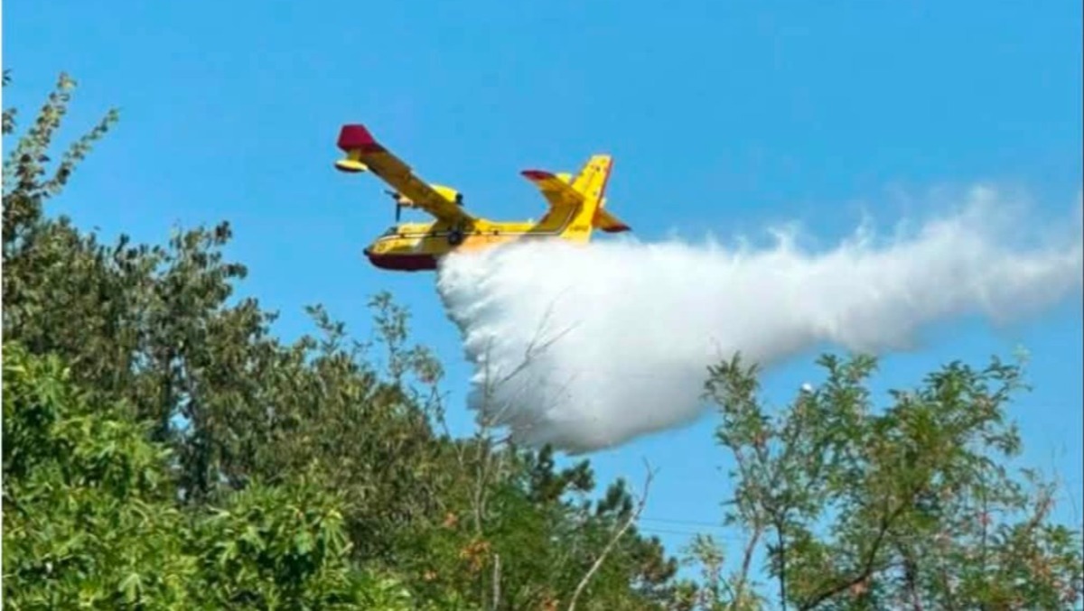 Emergenza incendi in FVG: Canadair, elicotteri e volontari su più fronti. La situazione  - 