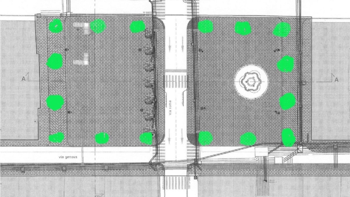 Trieste, il verde di piazza Sant’Antonio divide: Triestebella contesta i platani nei cassoni - 