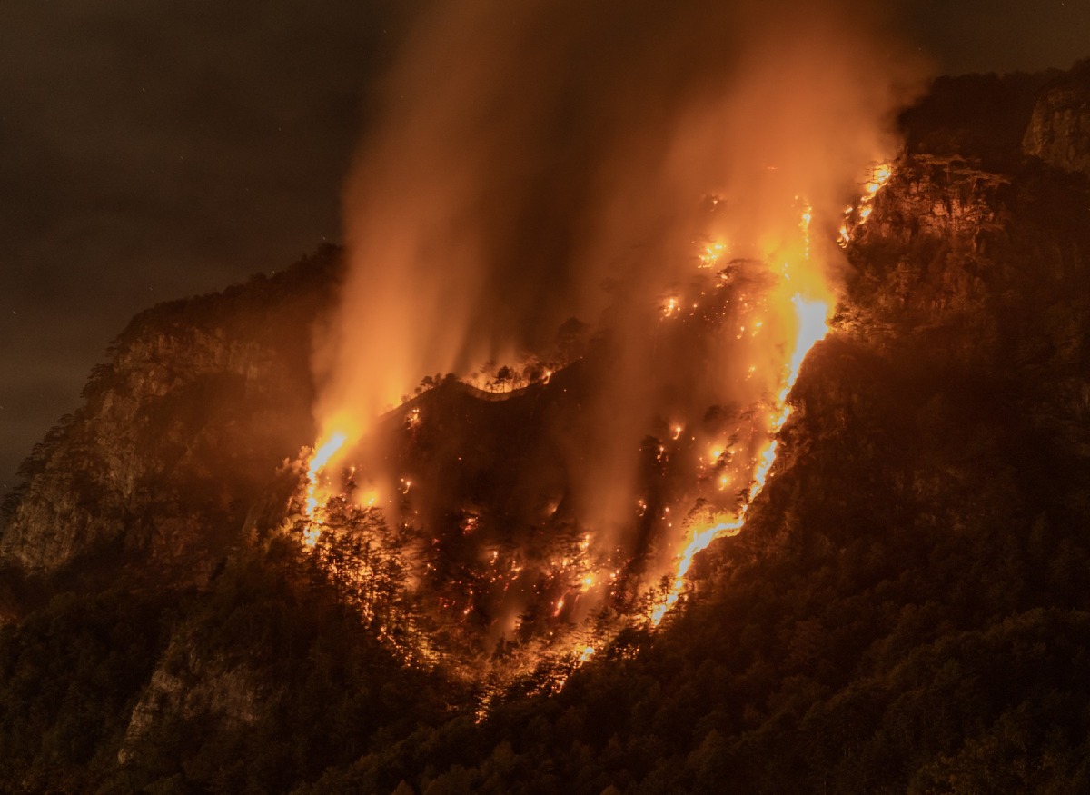 Incendi in FVG, il bollettino: vari fronti ancora attivi, nuova giornata di lotta  - Foto Eljon Ejlli